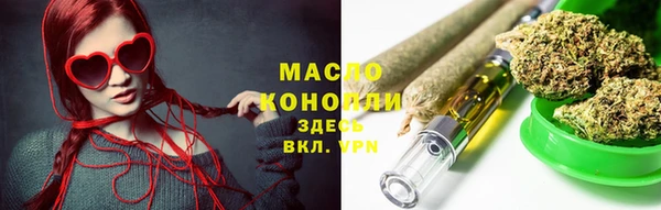 индика Вяземский