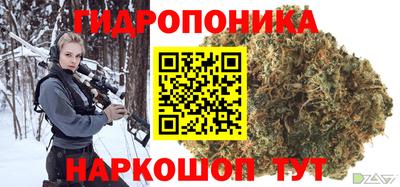 индика Гусь-Хрустальный