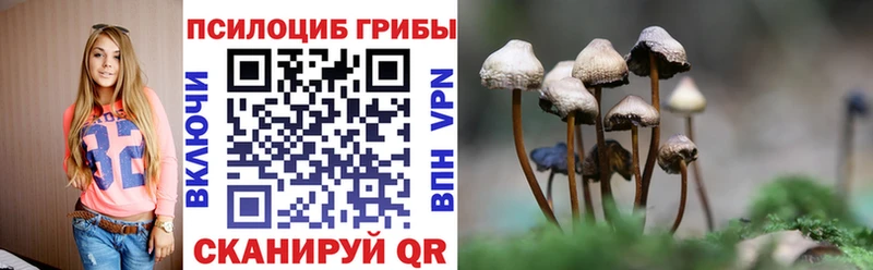 Галлюциногенные грибы мухоморы  Реутов 