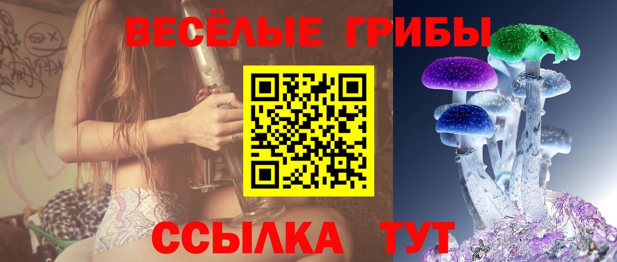 Реутов  Галлюциногенные грибы GOLDEN TEACHER  Вход с VPN 