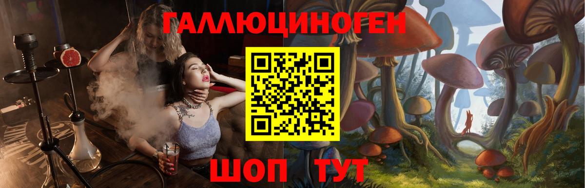 Псилоцибиновые грибы GOLDEN TEACHER Реутов